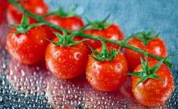 上班族白领怎么能够防止辐射