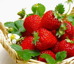 抗疲劳吃什么水果