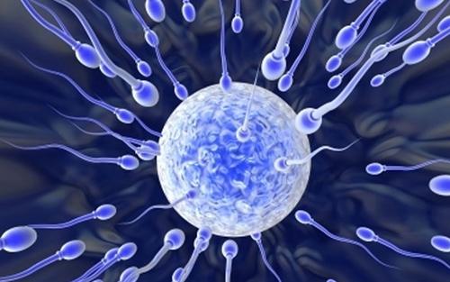 2025年成都机构三代试管的费用和流程是怎么样的？