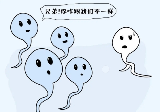 南宁助孕机构一览,寻找南宁权威助孕公司服务指南