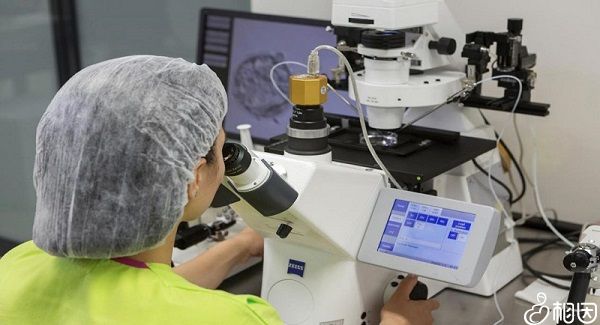 重庆正规助孕公司哪里较好？这3家机构都可选择