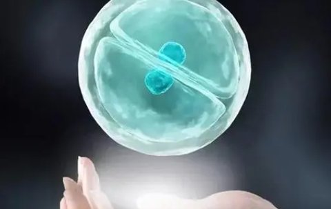 南昌助孕机构哪个好？过来人其强力推荐南昌这五家助孕公司