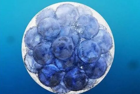 2025年河北助孕机构三代试管的费用和流程是怎么样的？