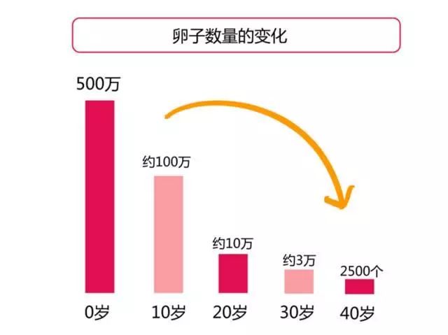 兰州试管成功率高的助孕机构靠谱吗？结果显而易见