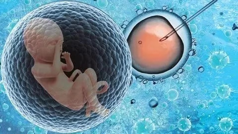 大连助孕公司试管哪家好？附大连助孕机构排名！