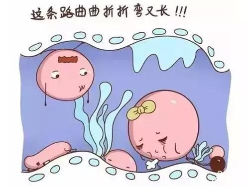 西安三代试管的助孕机构都在这了，怎么选看了就知道