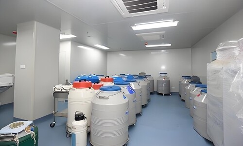 济南助孕公司试管排行榜,济南助孕机构试管成功率及花费附上
