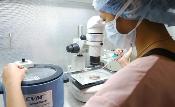 江西试管成功率高的助孕机构靠谱吗？结果显而易见