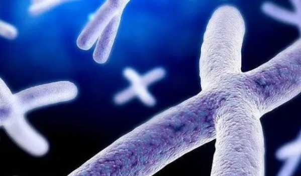 **后为什么无法配出优质的胚胎?