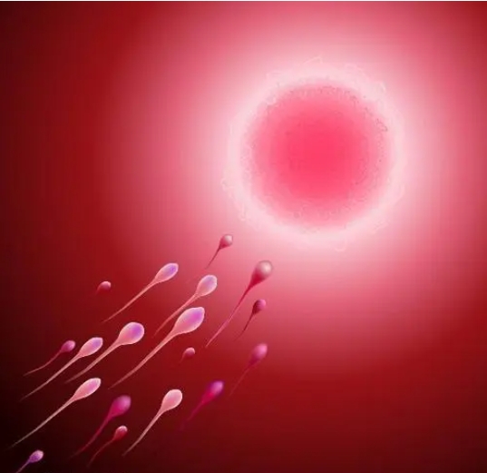 公立三甲医院做孕酮检查什么时候出结果?