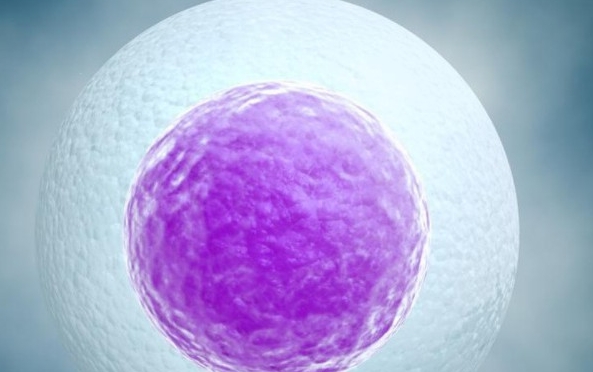 胎心停止后又恢复正常对胎儿发育有影响吗?