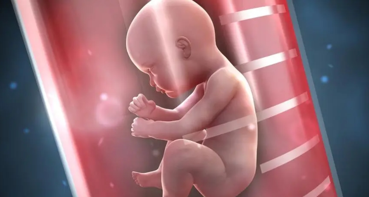 可以用冷**子做试管婴儿吗?