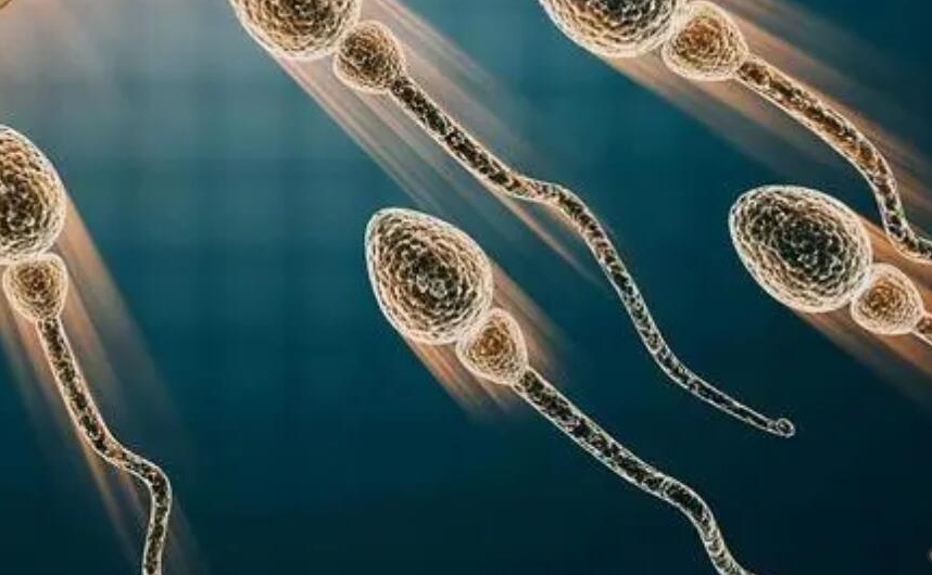试管婴儿冻胚移植的成功率有多高？