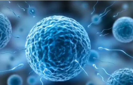 冷**子会使试管婴儿的成功率降低吗?