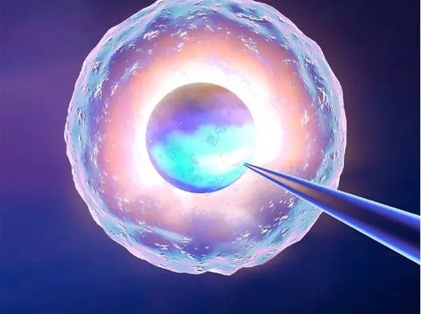 做试管婴儿可以放双胎吗?要考虑哪些因素?