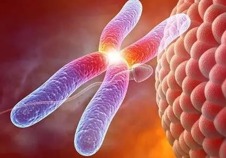  卵巢囊肿的症状是什么？如何诊断？