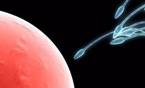 试管婴儿费用可以用医保报销吗?