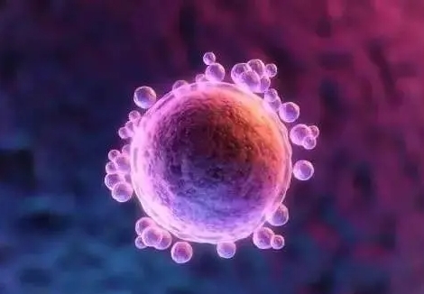 内分泌紊乱的人做试管婴儿可以成功怀孕生子吗？