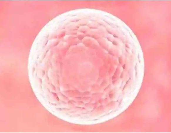 女性先天性无子宫可以做**手术吗?