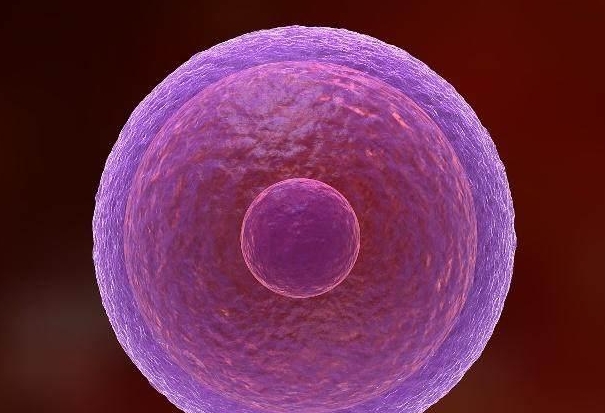 做试管婴儿的女性会老得比较快吗?