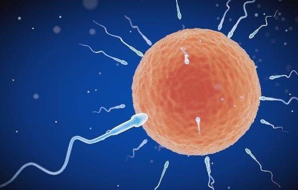 试管囊胚移植第十天用试纸测不出来是失败了吗?