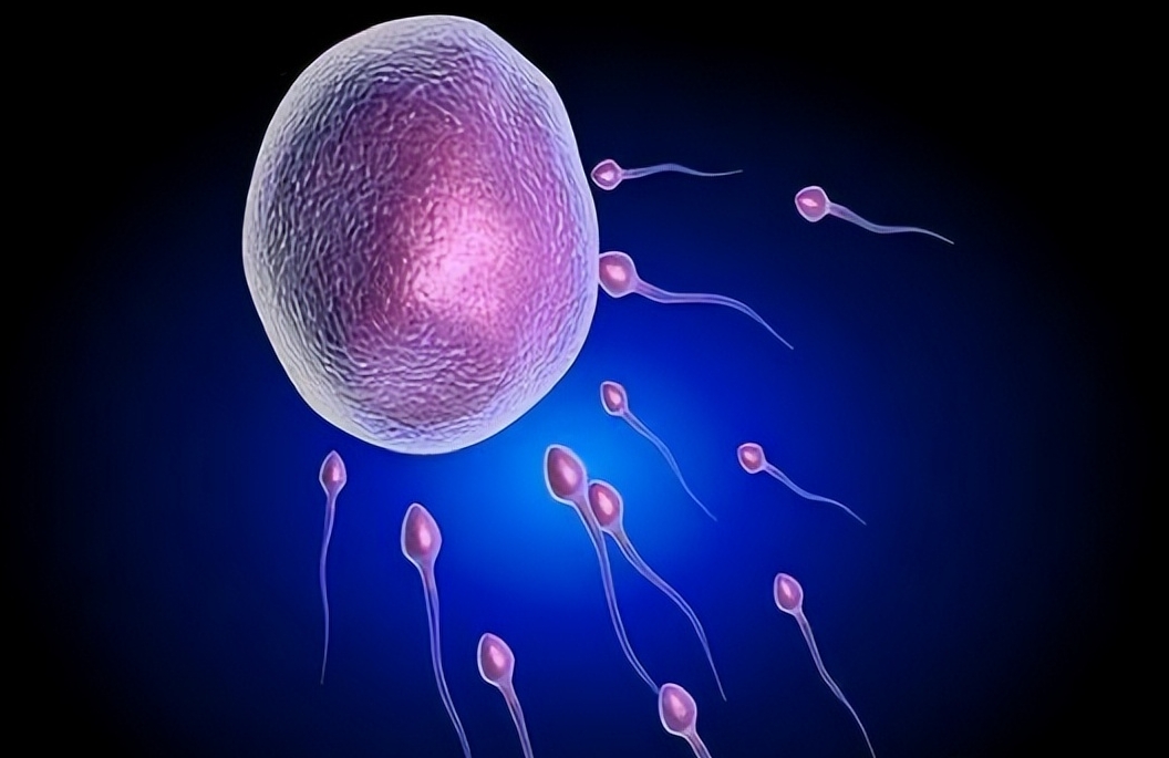 卵巢功能下降还能生育吗？如何生育？