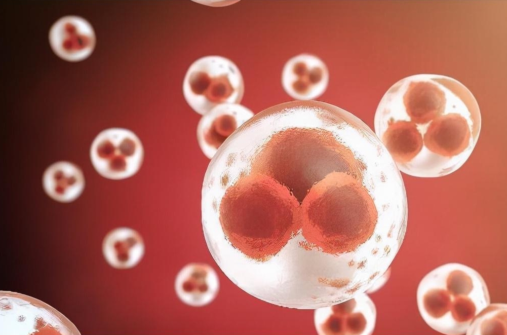 做试管取精和**相差两小时会影响成功率吗？