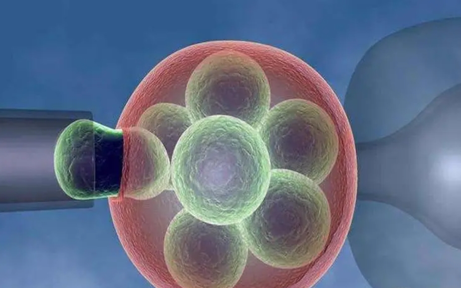 女性卵泡数量少如何怀孕生子?