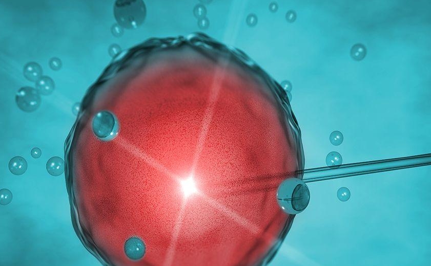 轻微的宫腔粘连会影响试管婴儿的成功率吗?