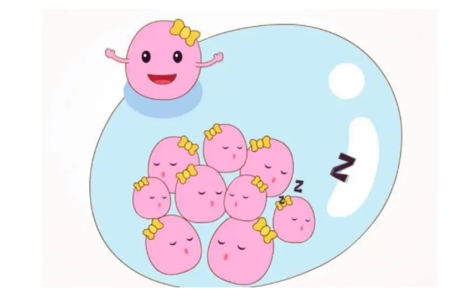 做试管胚胎不能着床跟自身的免疫力有关系吗?