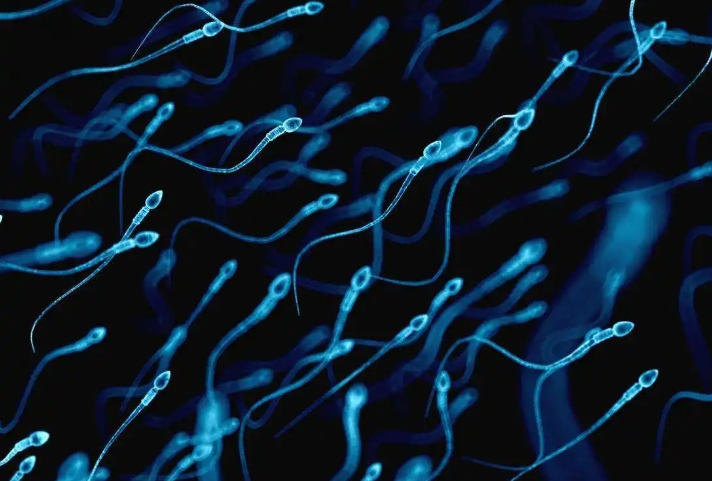  做试管打排卵针应该选皮下注射还是肌肉注射？