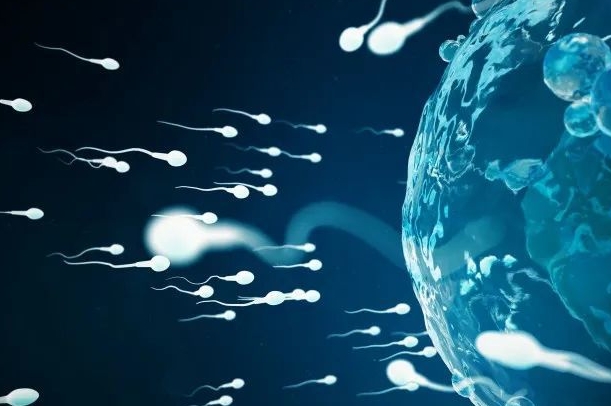 做试管婴儿长方案会导致提前排卵吗?