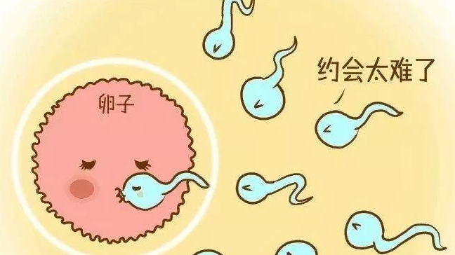 试管移植手术后肩胛骨疼是正常的身体反应吗?