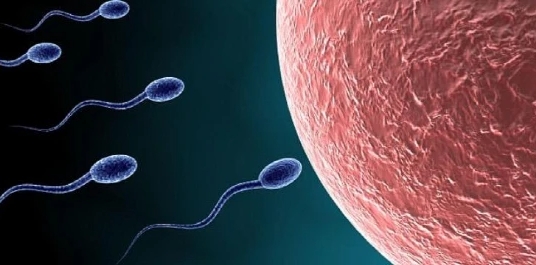 鲜胚移植后没测出怀孕需要去医院做抽血检查吗？