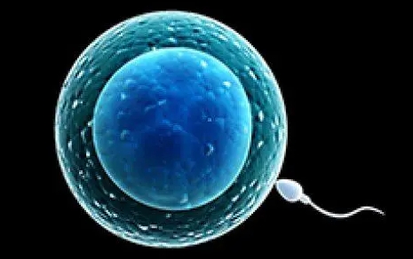 男性输精管堵塞应该如何治疗？