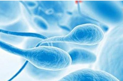 患有轻微肾炎还能做试管婴儿吗?