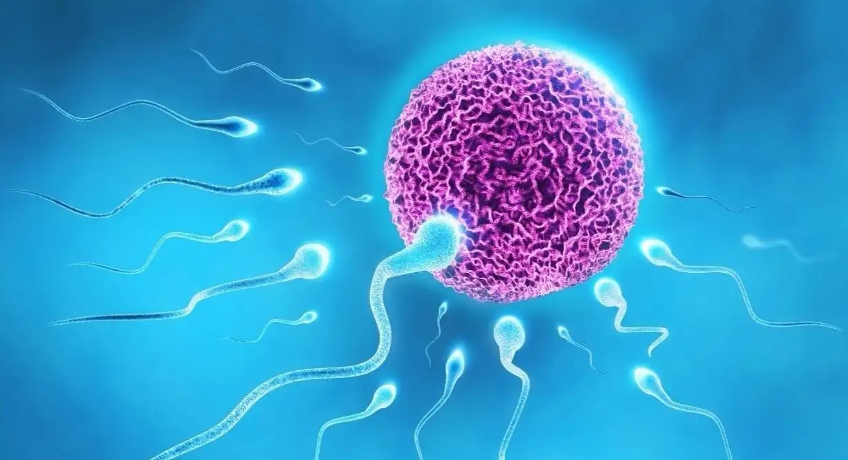 买曲普瑞林的费用贵吗?购买途径是什么?