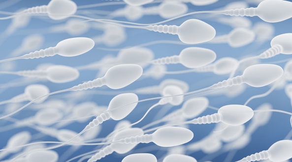 做试管婴儿为什么会多次**不成熟？