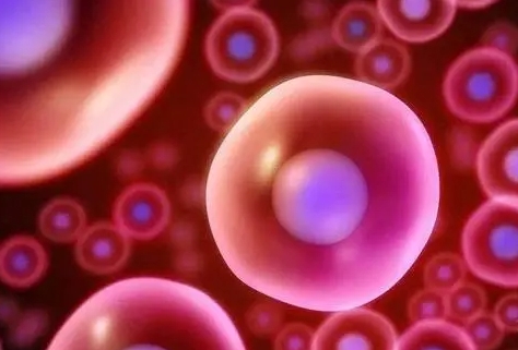 多囊卵巢患者可以做试管超长方案生育孩子吗?