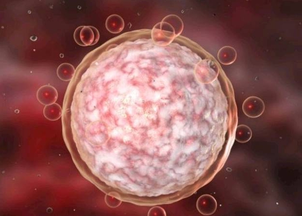 做试管婴儿自然周期时服用定坤丹的作用是什么?