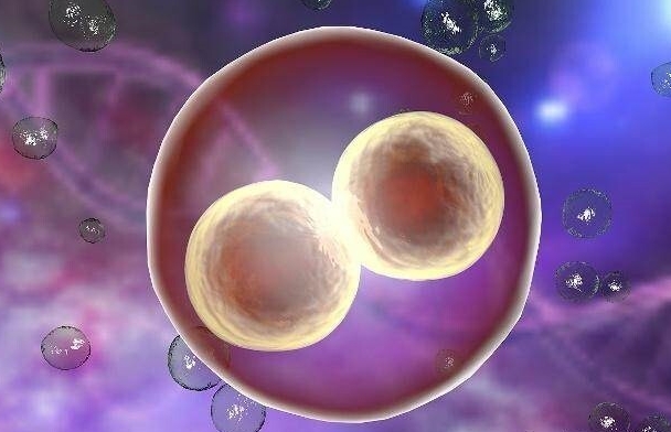 在试管移植前做宫腔灌注会很疼吗?