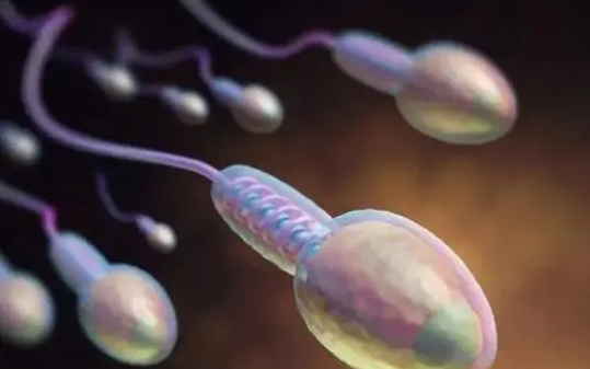 第一次试管手术失败后多久能做第二次?