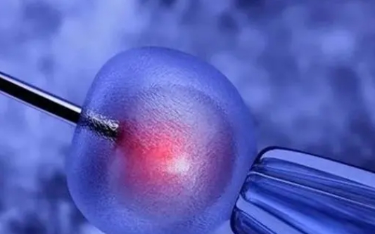 试管婴儿养囊和鲜胚移植应该如何选择?