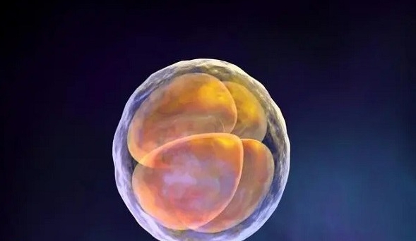 第三代试管技术可以筛选健康的胚胎避免遗传病吗?