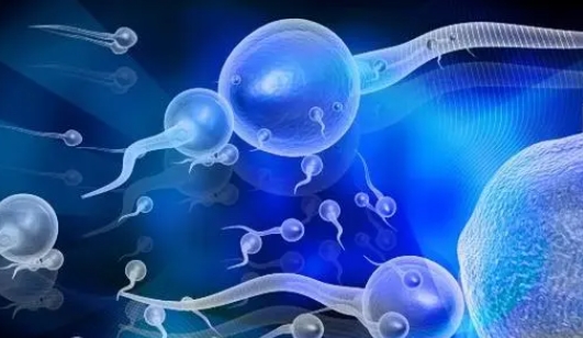 高龄做试管鲜胚不着床的解决方法是什么？