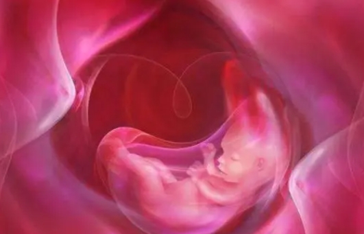 未婚女性能做试管婴儿生孩子吗？