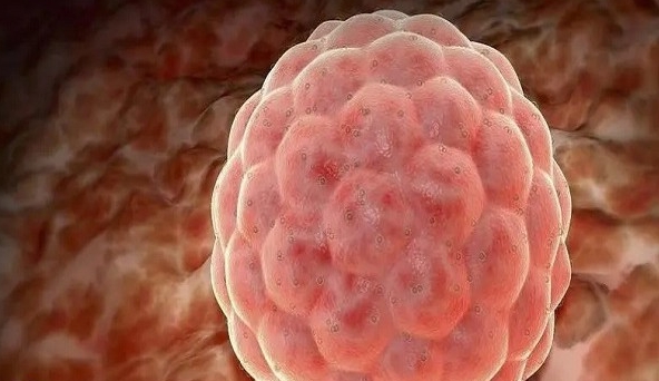 经常跳绳可以提高女性的卵巢功能吗?