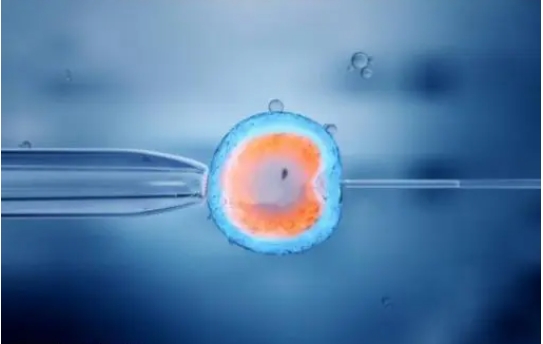 鲜胚移植后阴道塞黄体酮药的作用是什么?