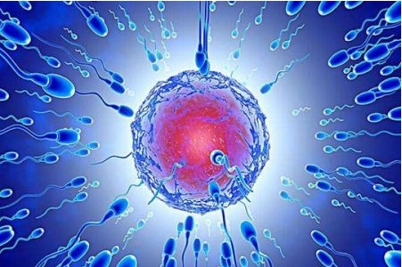 试管鲜胚移植后长期卧床有什么作用?对hcg值翻倍有影响吗?