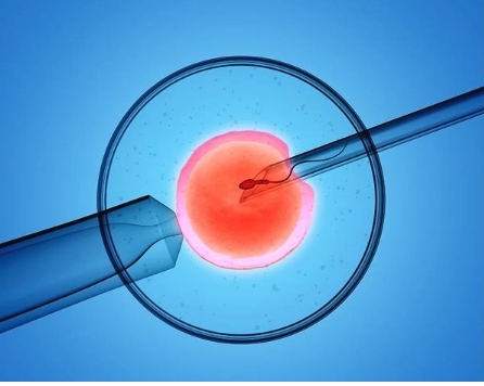 女性高血压做试管婴儿可以成功怀孕生子吗?